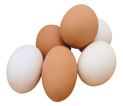 Eggs - Medium